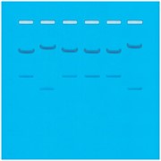 DNA Fingerprinting by Restriction Enzyme Patterns